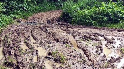 Tegalbuleud, Jalan Rusak di Sukabumi Bikin Ongkos Panen Melonjak, Petani Menjerit